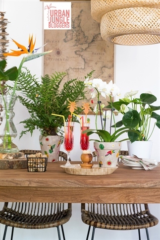 Tropical sfeer in huis - Urban Jungle Bloggers