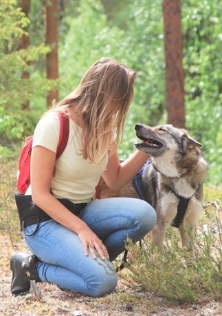 Voor op je bucketlist: Wandelen met husky’s in Zwe