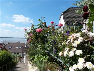 Zonvakantie in Hamburg: Blankenese