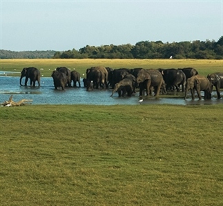 7 redenen waarom je Sri Lanka moet bezoeken!