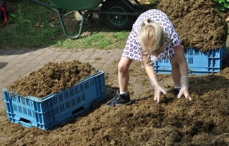 Graaien in de olifantenpoep