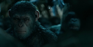Naar de film War of the Planet of the Apes
