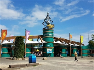 Naar het Dolfinarium met een peuter