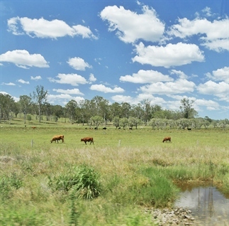 (Road)trip Australië: van Cairns naar Melbourne