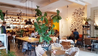 Vegan Hotspot Broei in Utrecht
