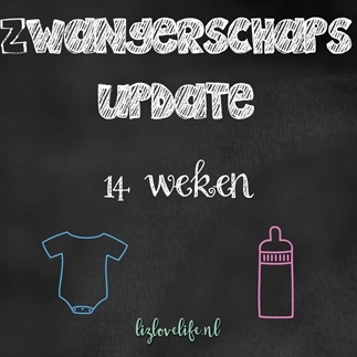 14 Weken zwanger