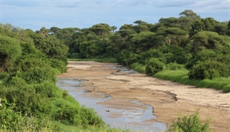 26 redenen waarom je niet naar Tanzania moet gaan