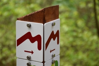 De fantastische wandelwereld van het Mullerthal