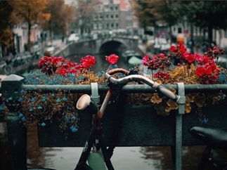 De mooiste fietsroutes vanuit Amsterdam