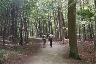 Eifel met kinderen