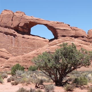Fotoblog Arches National Park