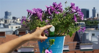 Kickstarter Monday: houd je planten in leven