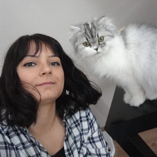 KEDİLERİ SEVEN KIZ