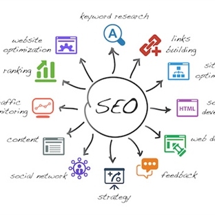 SEO Uzmanı