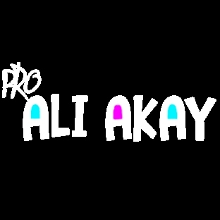 Ali Akay | Webmaster Blog