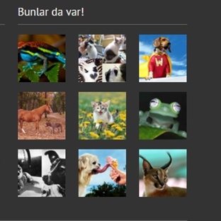 www.ukalahayvan.com