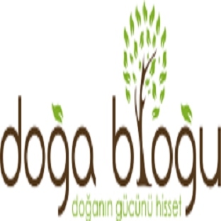 Doğada Yaşam Teknikleri