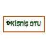 Kişniş Otu