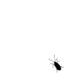 BitliBlog - Hayat'a Dair