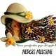 Nergis Mevsimi