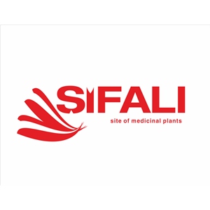 Şifalı Bitkiler ve Sağlık